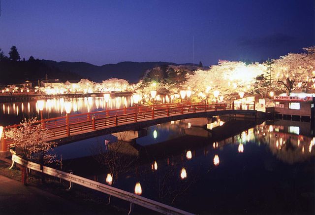 庄原上野公園の夜桜。お絵かきランするとこのような景色が楽しめるはず。