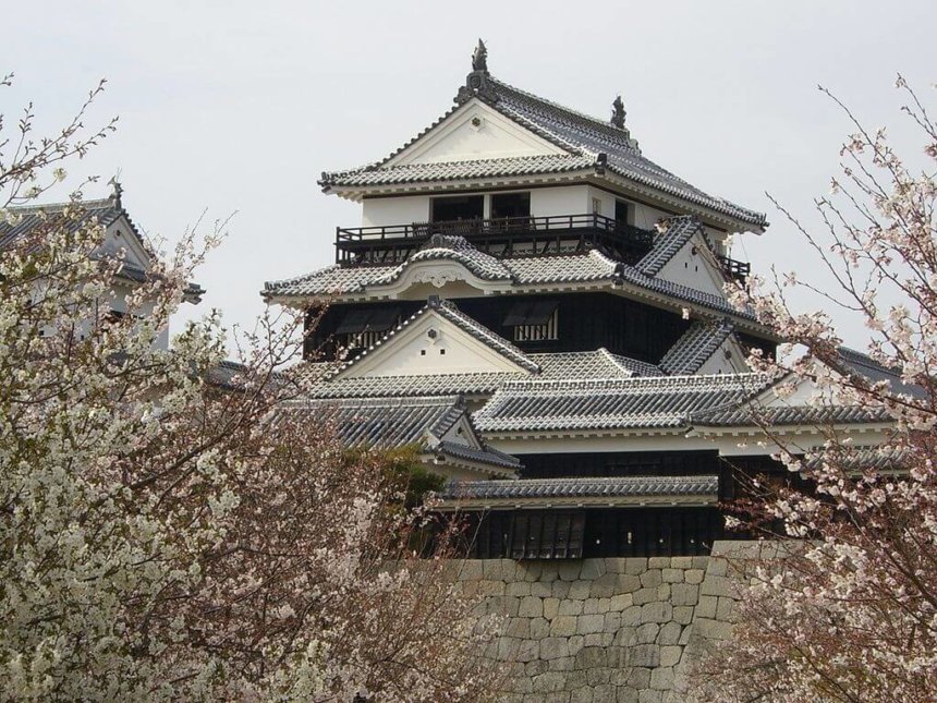 満開の桜に囲まれた松山城天守閣