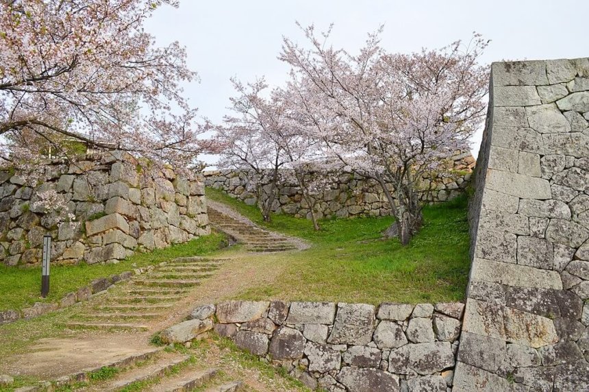 米子城址の満開の桜