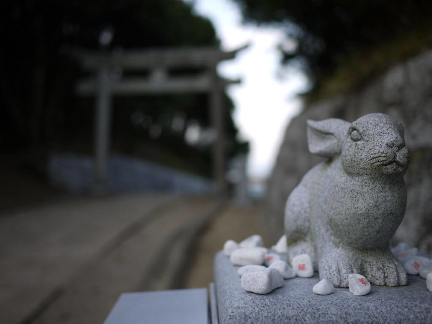 白兎神社のウサギさん像