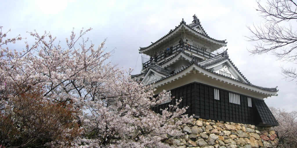 浜松城模擬天守閣と満開の桜
