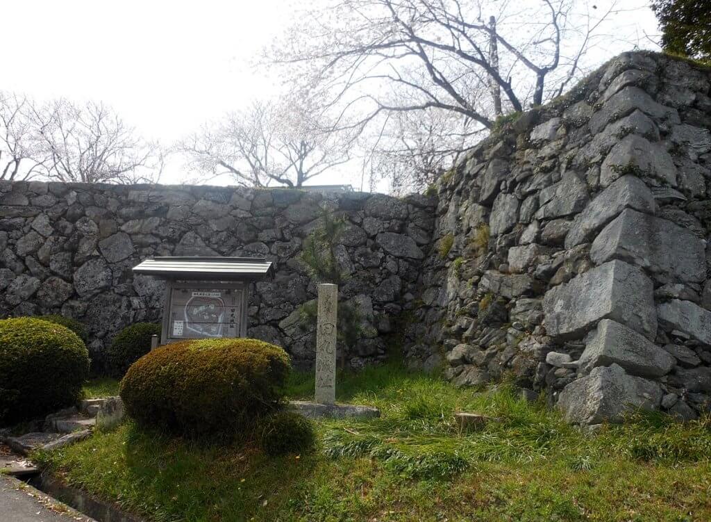 田丸城跡の石垣と桜