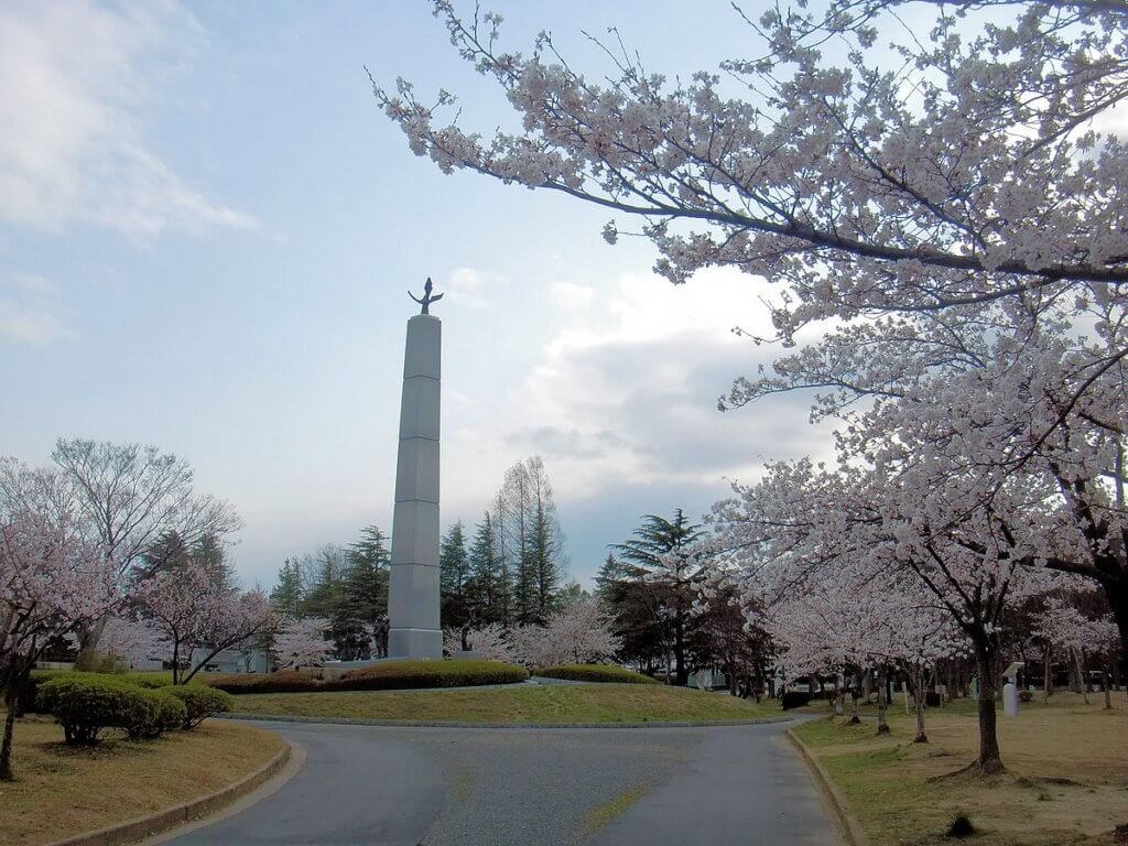 開成山公園の桜の風景