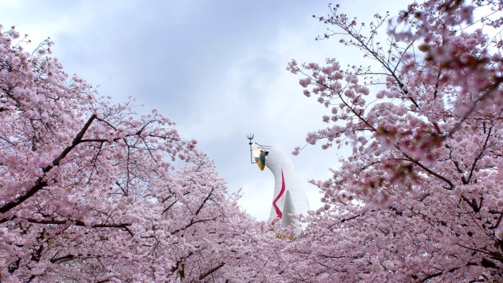 万博記念公園の満開の桜