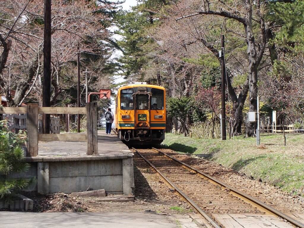 芦野公園駅に停車する津軽鉄道と桜