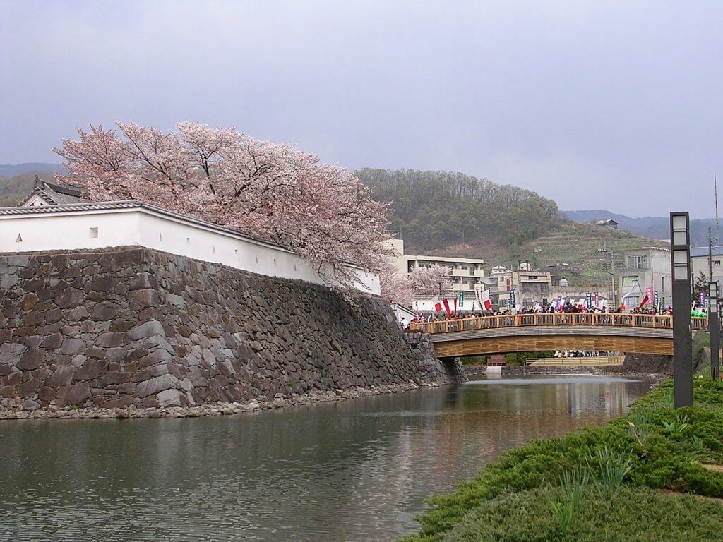 舞鶴城公園の堀と桜