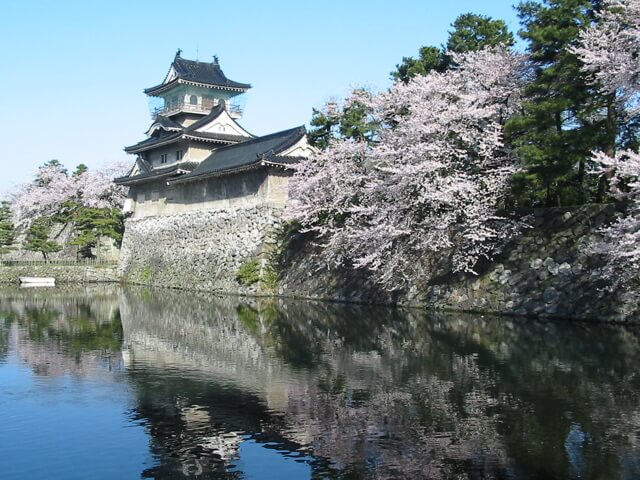 富山城の桜