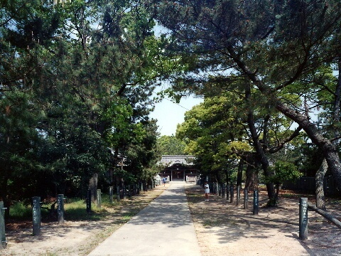 水神社の境内の森