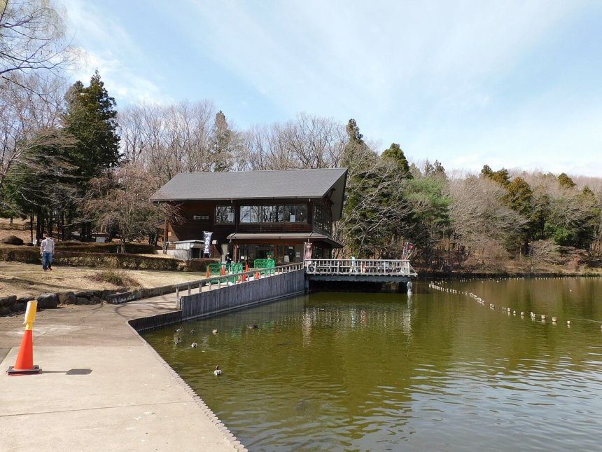 栃木県井頭公園の池