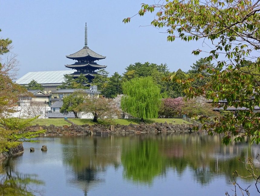 興福寺と奈良公園