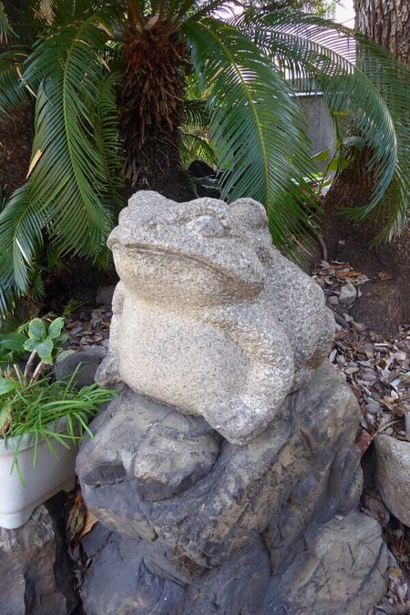 難波八阪神社の石蛙