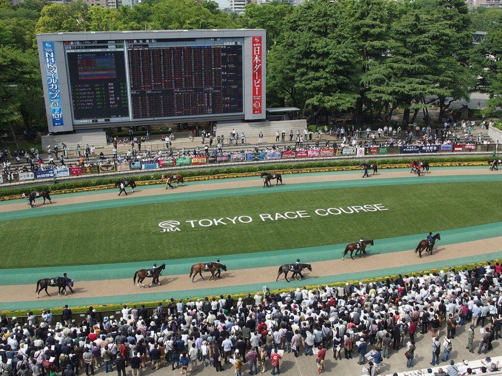 東京競馬場の様子