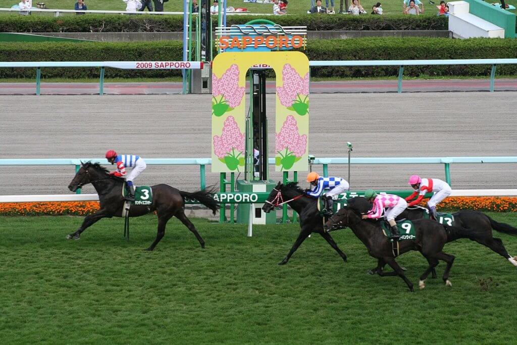 札幌競馬場でのレース