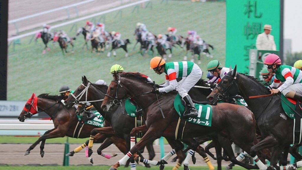 札幌競馬場でのレース