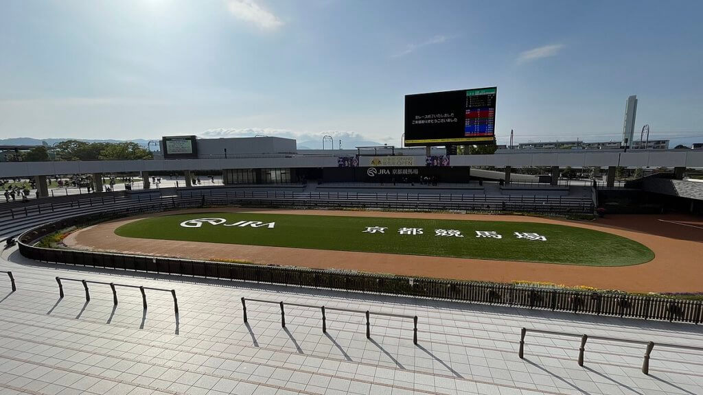 京都競馬場の様子