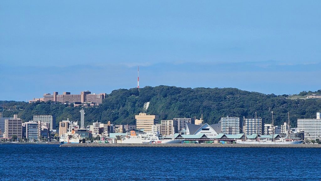 桜島から眺める城山