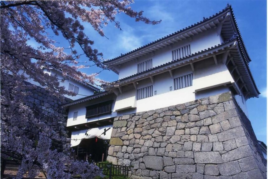 霞ヶ城公園(二本松城)に咲く桜