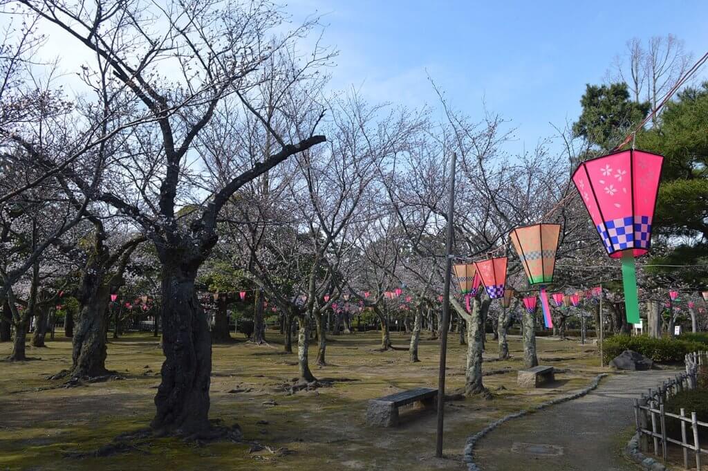 芦城公園の桜