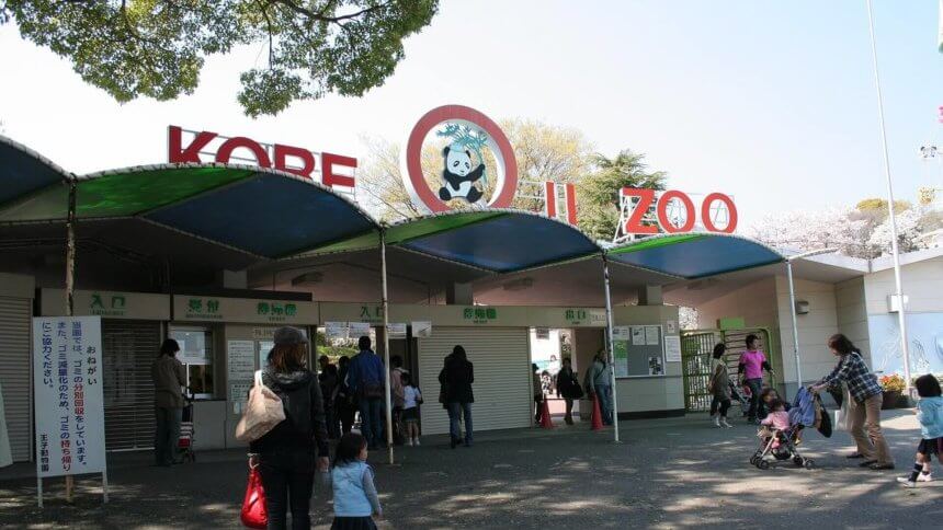 神戸市立王子動物園