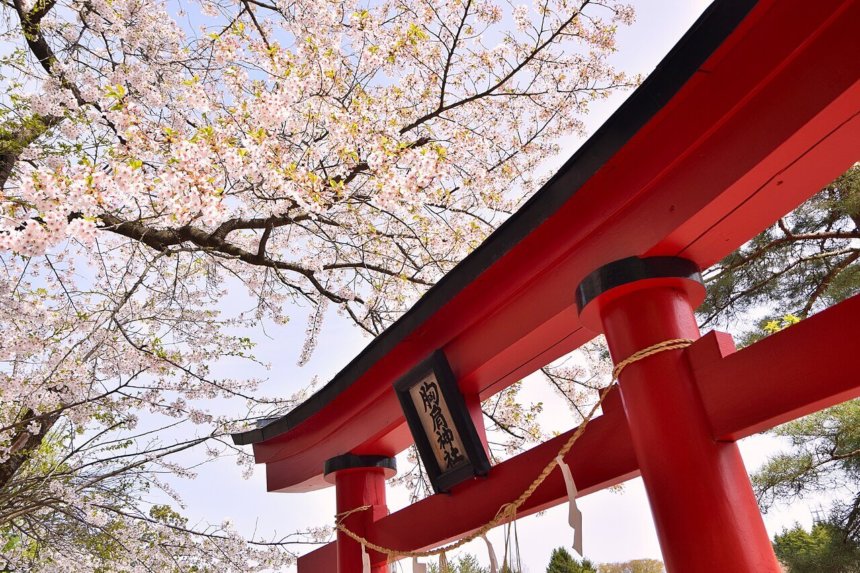 猿賀神社の鳥居と満開の桜